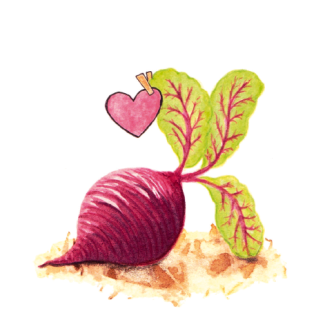 Rote Bete